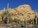photo thumbnail #15