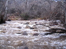 photo thumbnail #4