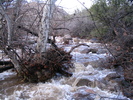 photo thumbnail #5