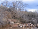 photo thumbnail #9