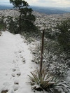 photo thumbnail #1