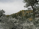 photo thumbnail #4