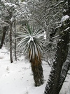 photo thumbnail #7