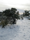 photo thumbnail #9