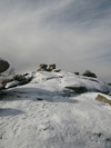 photo thumbnail #12