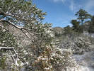 photo thumbnail #13