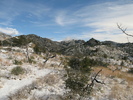 photo thumbnail #14