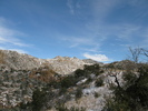 photo thumbnail #15