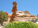 photo thumbnail #2