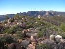 photo thumbnail #6