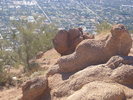 photo thumbnail #14