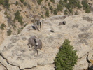 photo thumbnail #8