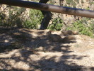 photo thumbnail #9