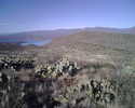 photo thumbnail #11