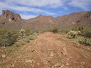 photo thumbnail #1