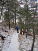 photo thumbnail #5