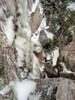 photo thumbnail #15