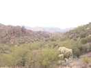 photo thumbnail #9