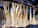 photo thumbnail #13