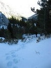 photo thumbnail #10