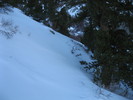 photo thumbnail #14