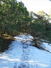 photo thumbnail #5