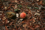 photo thumbnail #11