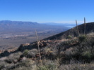 photo thumbnail #14