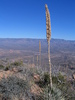 photo thumbnail #15