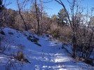 photo thumbnail #3