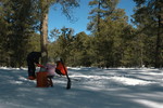 photo thumbnail #3