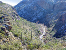 photo thumbnail #4