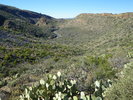 photo thumbnail #10
