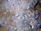photo thumbnail #15