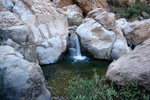 photo thumbnail #12