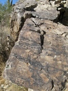 photo thumbnail #7