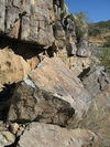 photo thumbnail #9