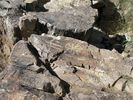 photo thumbnail #10