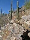 photo thumbnail #14