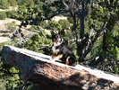 photo thumbnail #15