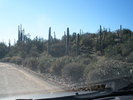 photo thumbnail #15
