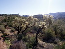 photo thumbnail #2
