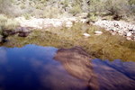 photo thumbnail #14