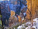 photo thumbnail #4