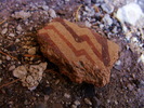 Featured Detail Photo