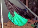 photo thumbnail #6