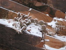 photo thumbnail #6