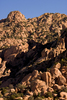photo thumbnail #7
