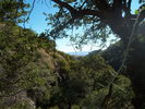 photo thumbnail #15