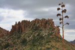 photo thumbnail #7